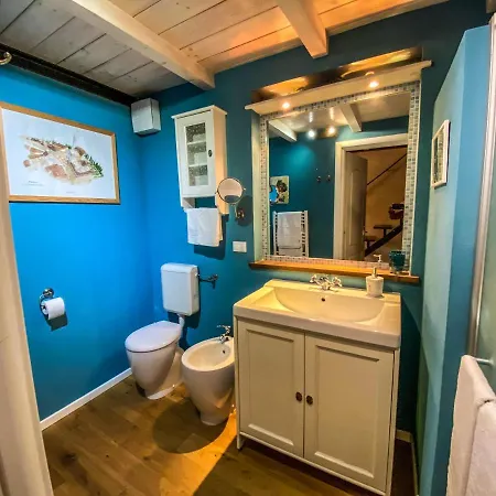 The Pianist S House In The Heart Of